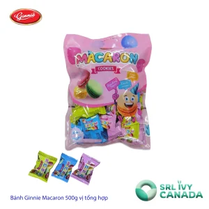 Bánh Ginnie Macaron 500g vị tổng hợp