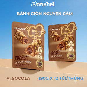 Bánh Giòn Nguyên Cám Vị Socola 190g